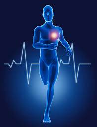 Pilot samples analysis in lab
